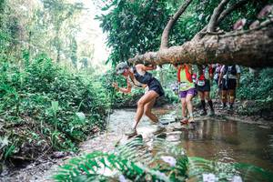 BIB: 
                            <button type="button" onclick="openModal(25458984)" class="btn btn-primary btn-sm float-right btn-popup" data-toggle="modal" data-target=".modal-high-quality">
                        <i class="fas fa-shopping-cart"></i> Add to Cart
                    </button>
                                            <button type="button" onclick="isThisMe(25458984, true)" class="btn btn-success btn-sm float-right btn-popup btn-isme hidden" data-toggle="tooltip" data-placement="bottom" title="นี่คือรูปของคุณใช่ไหม คลิกที่นี่เพื่อเอาเข้าอัลบั้ม">
                        <i class="fas fa-plus"></i> Add to album
                    </button>
                    <button type="button" onclick="isThisMe(25458984, false)" class="btn btn-warning btn-sm float-right btn-popup btn-isnotme hidden">
                        <i class="fas fa-ban"></i> Remove from album
                    </button>